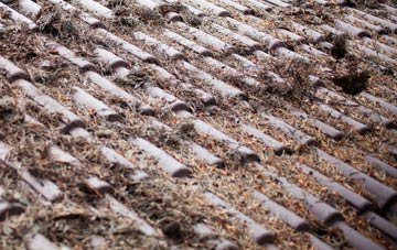 Millbrook roof cleaning companies